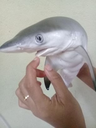 slow perbaiki diri sendiri