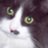 nitdoggx's profile image