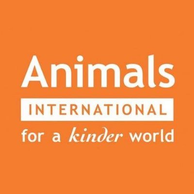 Animals International is the global arm of Animals Australia, Australia's leading animal protection organisation.