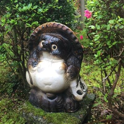 bewonderhooo's profile picture. 