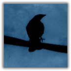 Cylon_Oracle's profile picture. Geek. Nerd. Scientist. Reader. Tea drinker. Mom. Bad Hombre's Wife. Sister. Bass player. Optimist. Snarkastic. 30+ she/her/hers