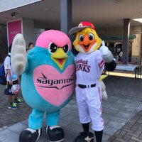 SBH (@tosuhawksavispa) 's Twitter Profile