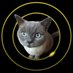 Kato Pictures (@katopictures) Twitter profile photo Kato Pictures (@katopictures) Twitter profile photo