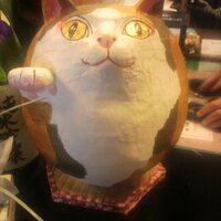 不動 明 (ふどう あきら) (@spacegss) 's Twitter Profile