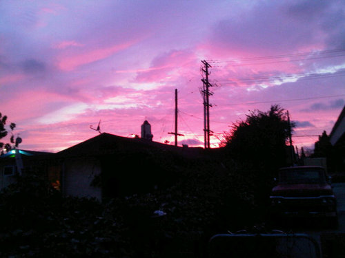 anoDized_gReeN's profile picture. 