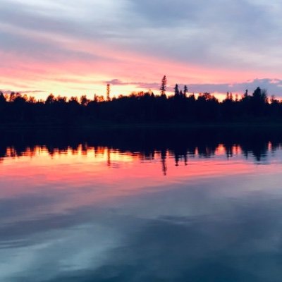 docstream2000's profile picture. 