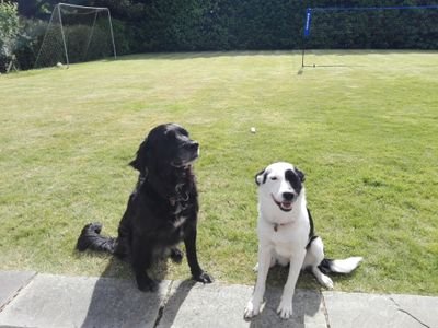 ianhtaylor's profile picture. Curiosity drives me. Unimpressed by elected public servants. Less impressed by shareholder capitalism, failing markets and social injustice.