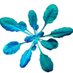 🌱Pierdomenico Perata (@theplantlab) Twitter profile photo 🌱Pierdomenico Perata (@theplantlab) Twitter profile photo