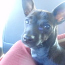 Karla Sweet - @KarlaSmart - Twitter