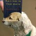 Lamoille Library (@lamoillelibrary) Twitter profile photo Lamoille Library (@lamoillelibrary) Twitter profile photo