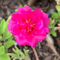 Mrs. B (@mrsborgfeld) 's Twitter Profile Photo