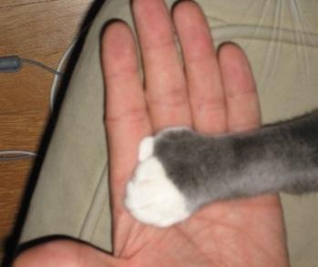 bobdow's profile picture. I am fun.