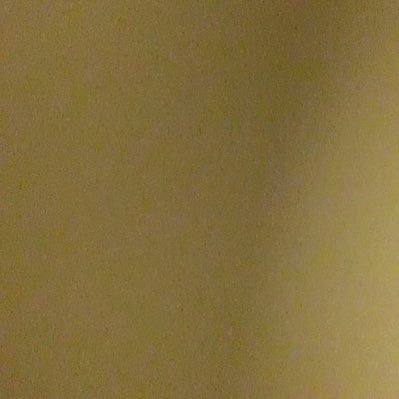 Giants178's profile picture. Politics Space News Tech News Science News