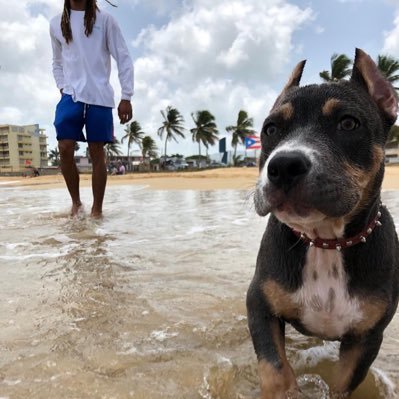 tarzandeleste's profile picture. SC IG : Tarzandeleste