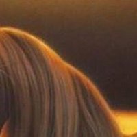 becki rutherford (@beckirutherfo10) 's Twitter Profile