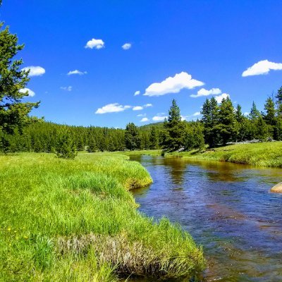 margaret_staab's profile picture. I live and write in Wyoming.