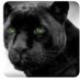 Margaret Brent MS (@mbms_smcps) Twitter profile photo Margaret Brent MS (@mbms_smcps) Twitter profile photo