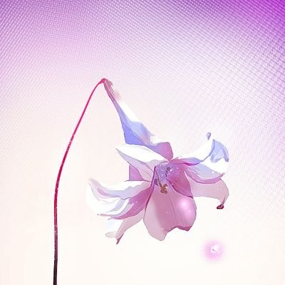 かわたにさんのプロフィール画像