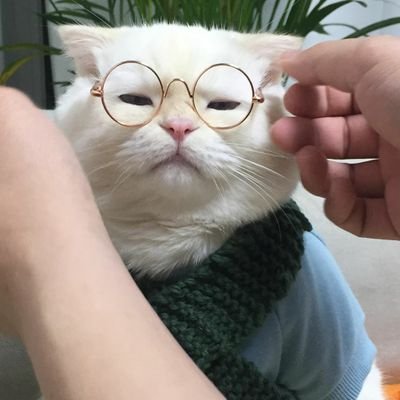 Nothing✨✨✨Взаимно👌
Немного сериальчиков, жизни и мемов💫 анф=анф