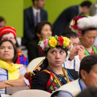 Fridays For Future - Indigenous Peoples(@FFF_Indigenous) 's Twitter Profileg