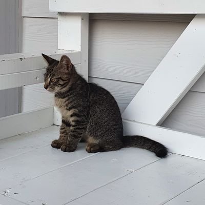 hangulijounnde's profile picture. 무용하지만 아름다운것들을 마음에 담고 살아요