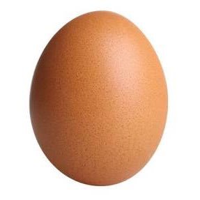 Twitter can change its default picture but I'm still an egg.