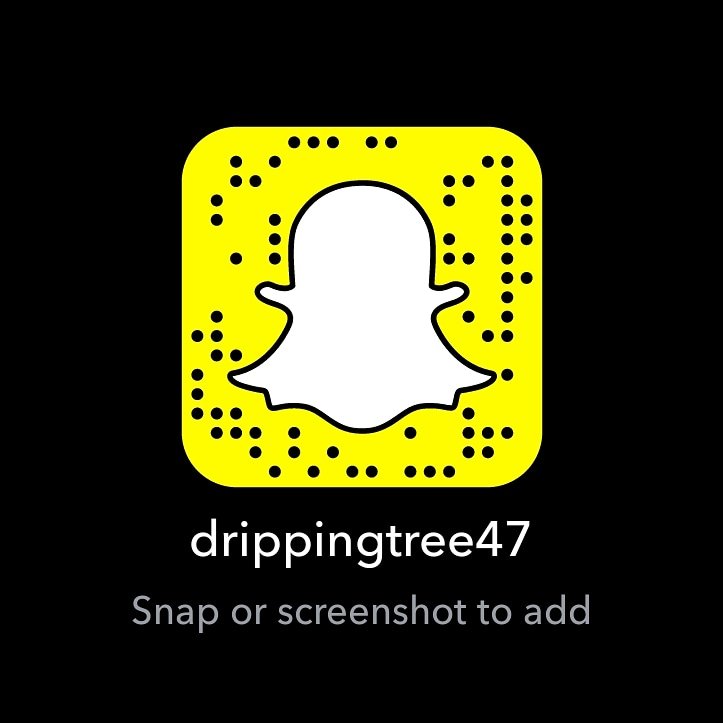 DrippingTree47's profile picture. #ChangedTheCycle #LiftedLifeStyles #AdoptChildrenNotStyles #LayingTheFoundation #DoingWhatWasntDoneForMe