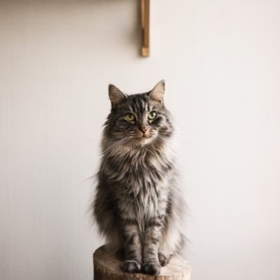 _JoBaeza's profile picture. 