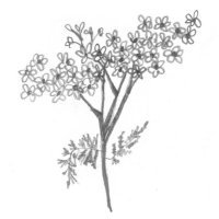 Hon & AP Bio (@hon_ap_bio_mhs) 's Twitter Profile Photo