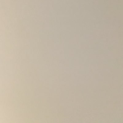 bullynobullie's profile picture. 