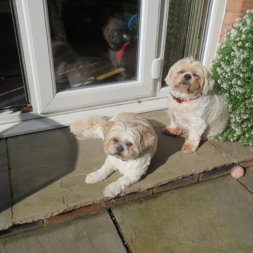 JonesRuthtre's profile picture. -