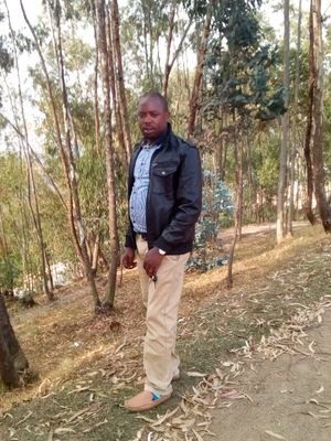 donkubto's profile picture. 