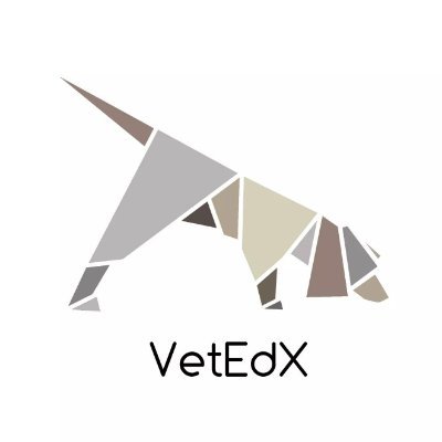 Animal behaviour and welfare SciComm | Content writing | Veterinary desensitisation programmes