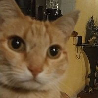 Max Power (@andrscarb) 's Twitter Profile