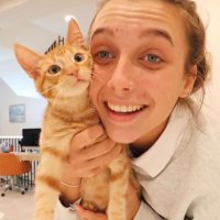 nastka (@ctsrvx) 's Twitter Profile