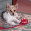 Joy Paxton - @joypaxton - Twitter