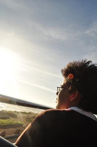 Music aficionado. Movie buff. TV addict. Bookworm. Whisky lover. Football fanatic. Travel junkie.