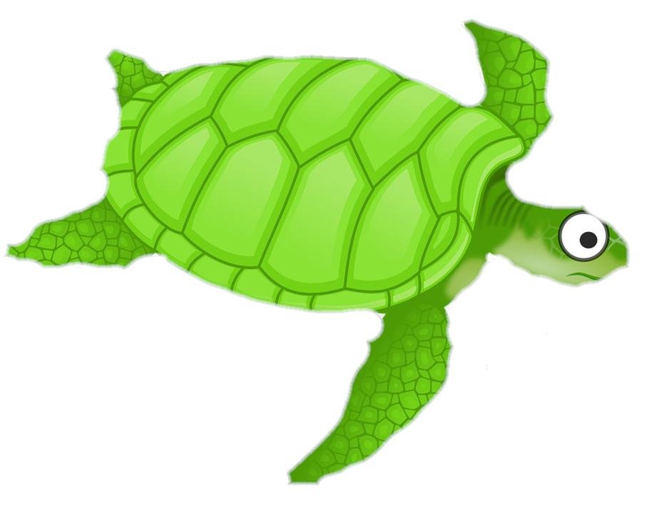 josecas70500874's profile picture. 