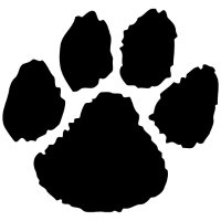 East Chapel Hill T&F/XC (@echhs_tfxc) 's Twitter Profile