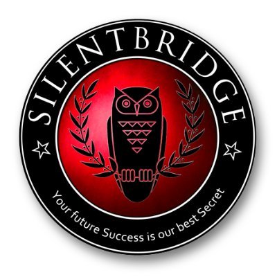Silentbridge is a international boutique strategy and management consulting firm that provides consulting services and managed services.
#strategy #Silentbridge