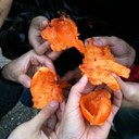 Sunghwan CHO - @wyhallem - Twitter