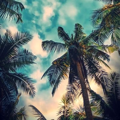 Zyxel92257255's profile picture. 