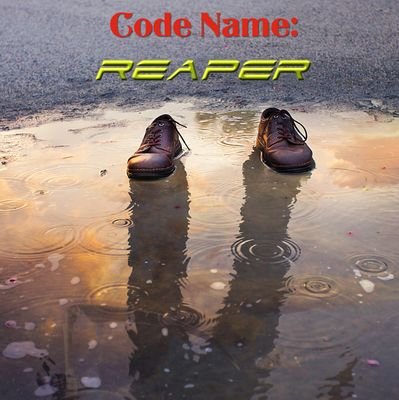 Indi Author and Publisher
of The Reaper Series
Code Name: Reaper written 2009-present