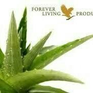 Katrern2's profile picture. ‏‏‏‏مندوبةشركةفوريفر
الصحةوالجمال بين يديك💕
منتجات من وحي الطبيعة🌵
منتجات عضوية💙
منتجات انزال الوزن🍃
لدينا امكانيةالتوصيل ‎‎‎‎#الخليج ‎‎‎‎#الاردن
للتواصل دا