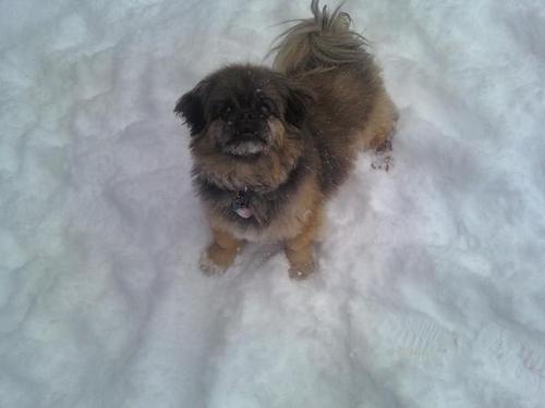 westcoastdeb's profile picture. Just me, doing my own thing. I am a birthmom, a hard working woman, and counting down until I can become a mother.