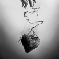 فهاوه🕊 (@gisyv_a) 's Twitter Profile