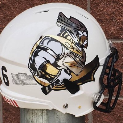 DecalFb's profile picture. This page is dedicated to the art for the football helmet decals. We are here to appreciate the good the bad and well... the different. Sends us what you got!
