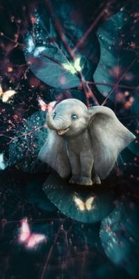 CourtneySturge9's profile picture. I have a boyfriend his name is 
Terry bumm