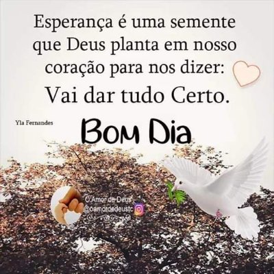 SergAlenccar's profile picture. 