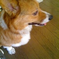 sokosoko (@ssk99902) 's Twitter Profile Photo